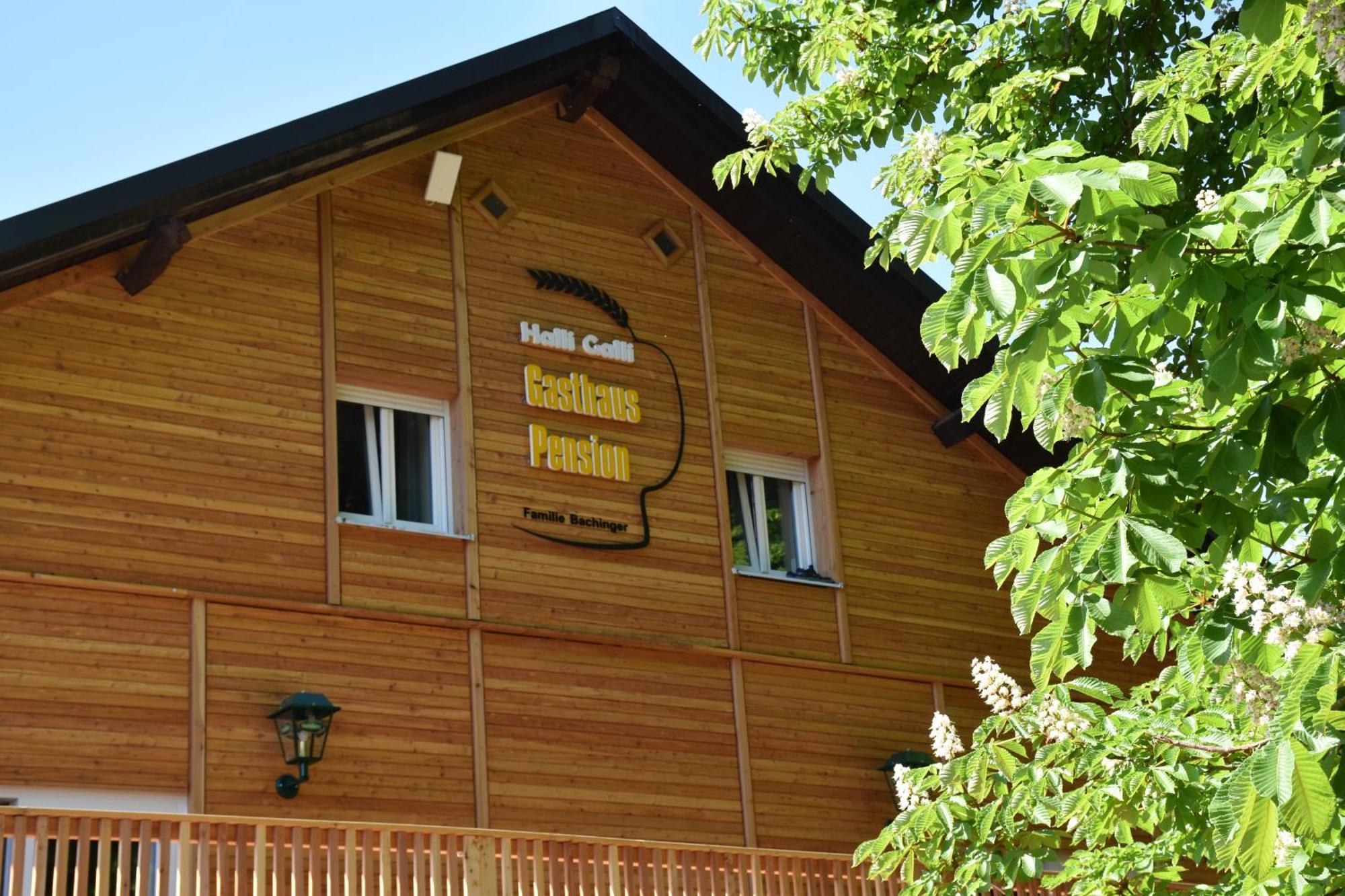 Gasthaus Und Pension Halli-Galli 帕绍 外观 照片