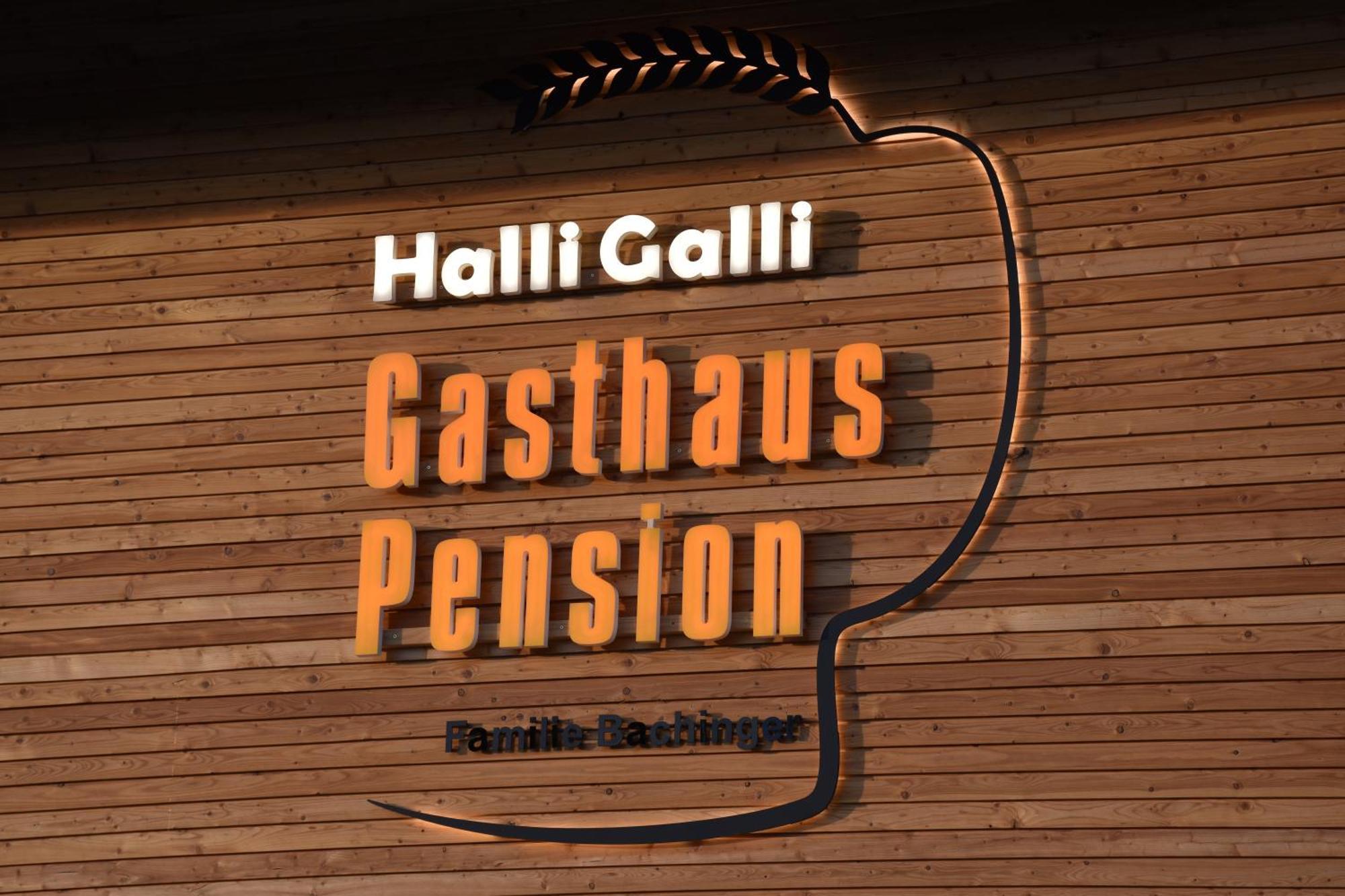 Gasthaus Und Pension Halli-Galli 帕绍 外观 照片